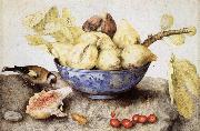 Giovanna Garzoni Chinese Cup with Figs,Cherries and Goldfinch oil painting